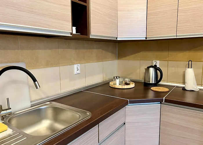 Lejlighed W Centrum Miasta 6