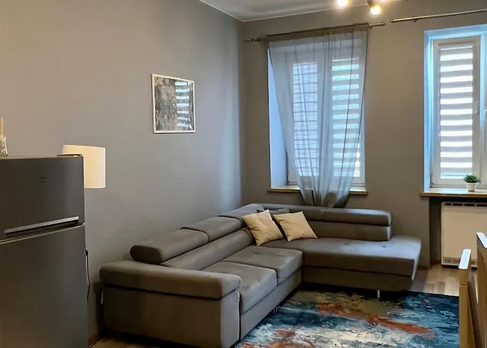 Lejlighed W Centrum Miasta 6